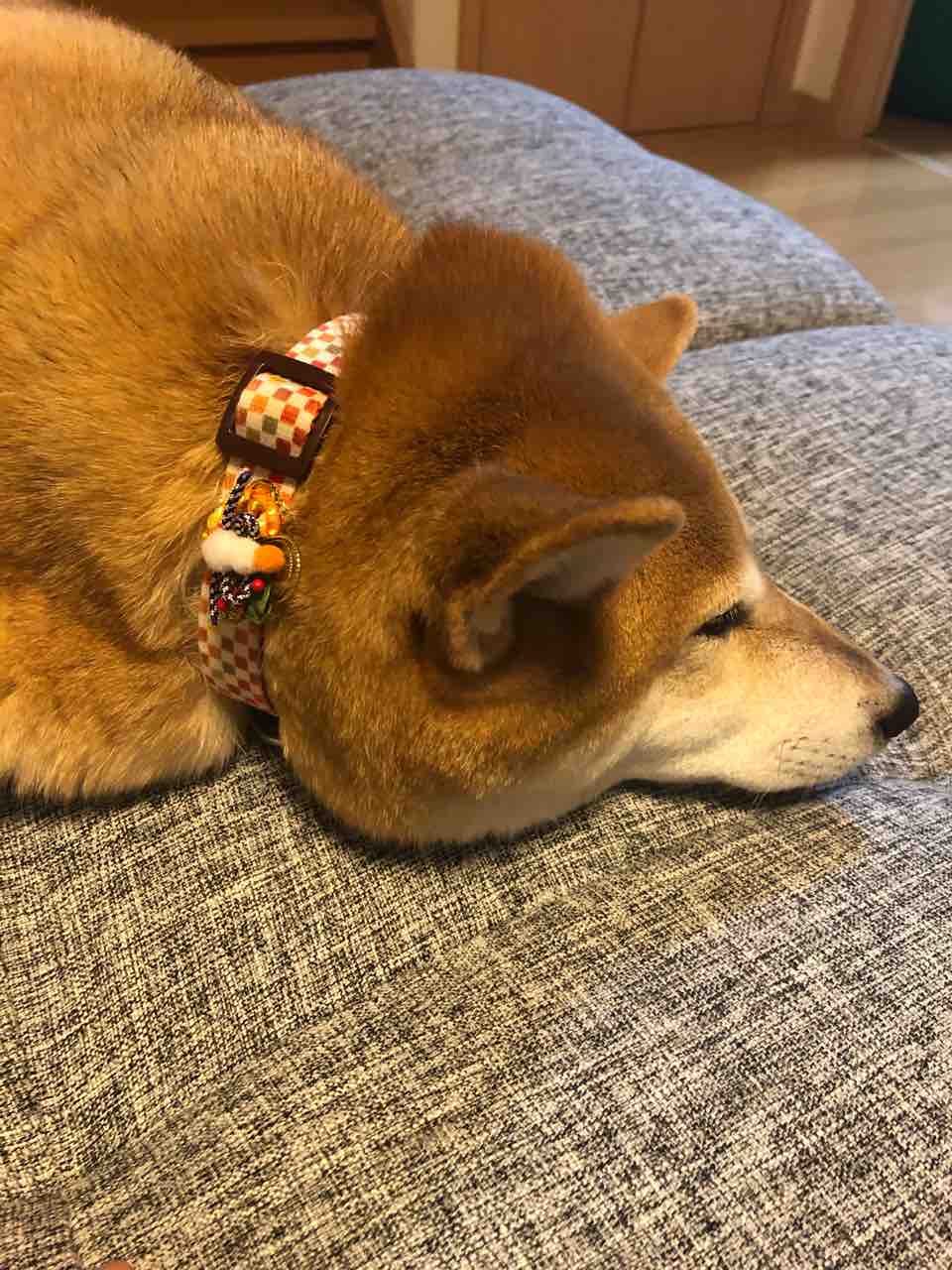 すいかちゃん 9歳 まっちゃんの日記 すいかちゃん 9歳 まっちゃんの日記
