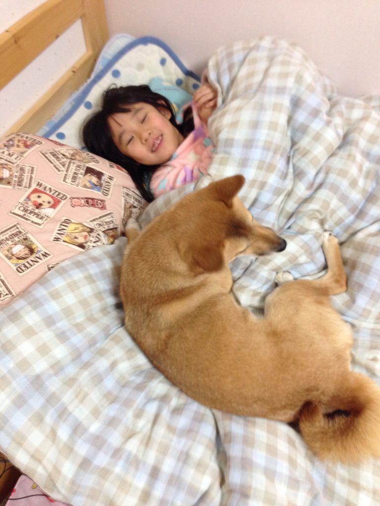 姪っ子シリーズ 