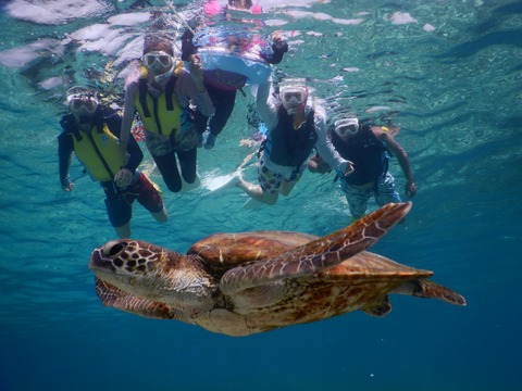 0AA76EF6-7FF3-403A-987F-E30729C83C86