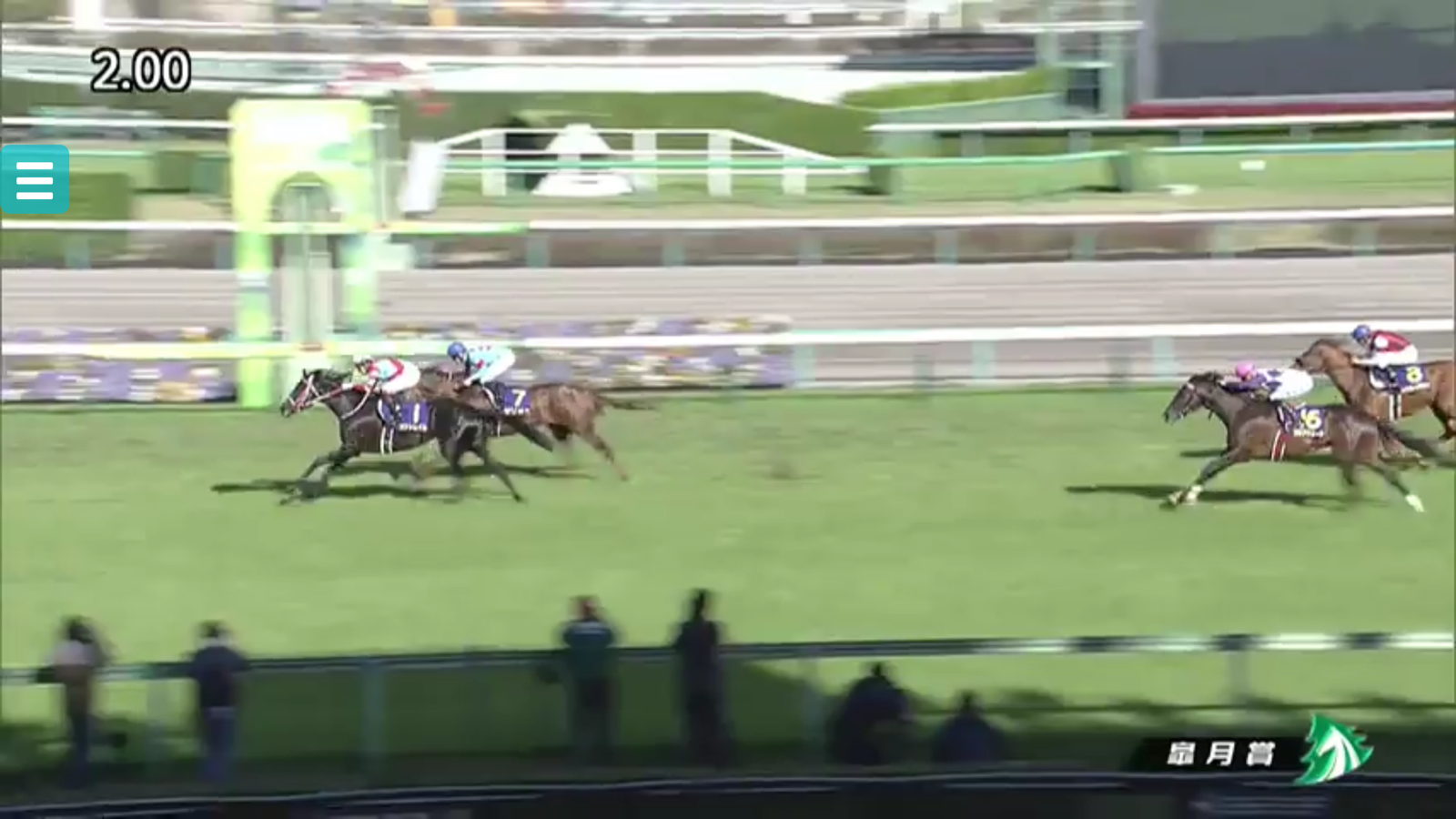 皐月賞回顧からダービーへ 素人馬乗りパドックマンの調教ログ 皐月賞回顧からダービーへ 素人馬乗りパドックマンの調教ログ