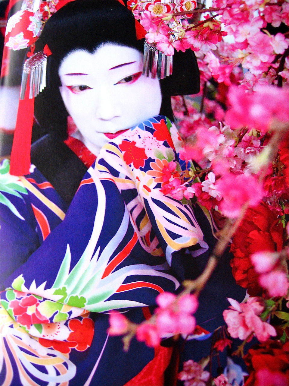 亀治郎の肖像 = THE PORTRAIT OF ICHIKAWA KAMEJ… 亀治郎の肖像 = THE PORTRAIT OF ICHIKAWA KAMEJ… 亀治郎の肖像