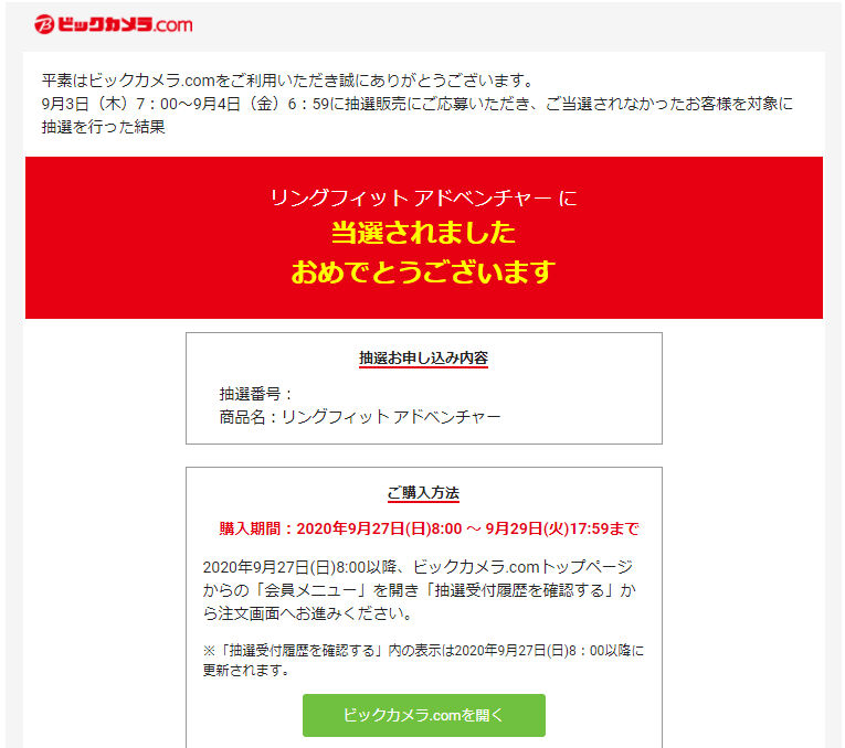 ゲーム リングフィット アドベンチャー ビックカメラで当選しました Keitaikid