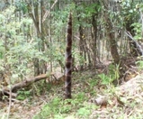 67b9d19a.jpg