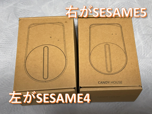 230710-Sesame5-3