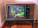 aee82c60.jpg