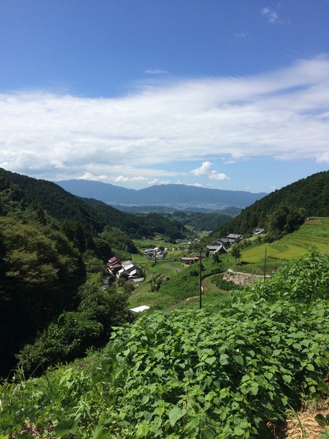 pl 012