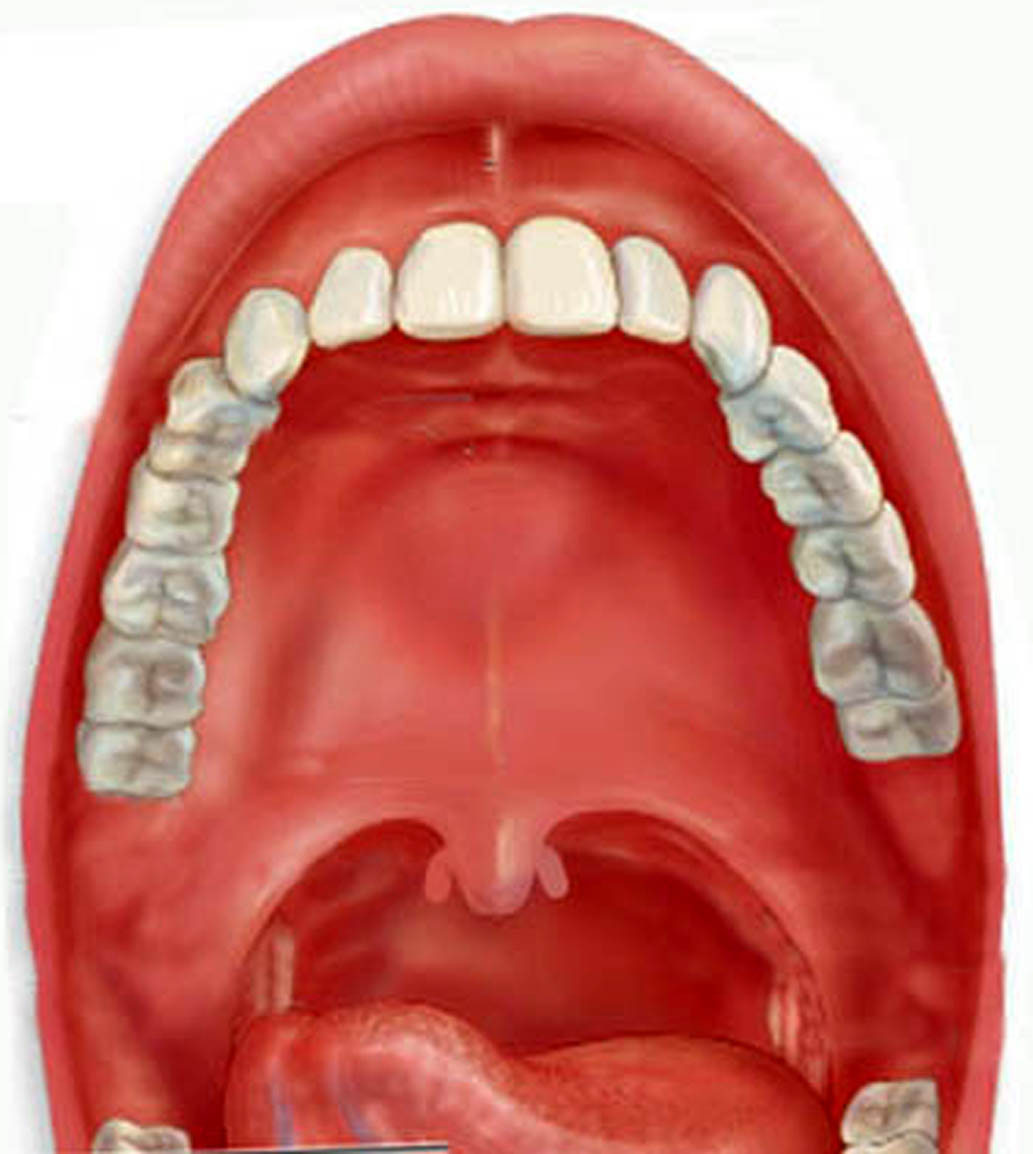 のどちんこ 敬天齋主人の日記帳