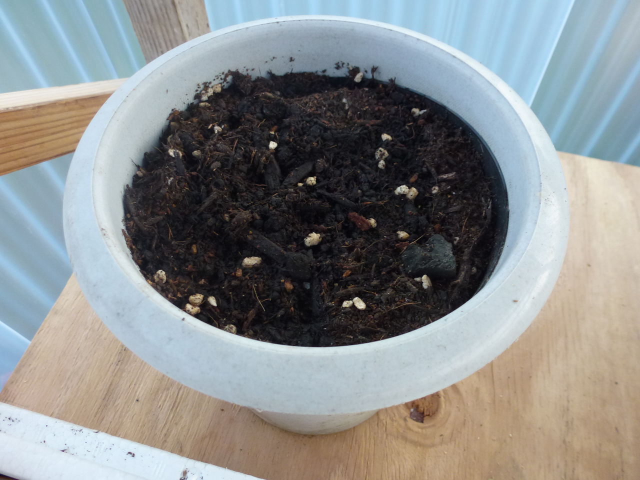 １年生栽培備忘録