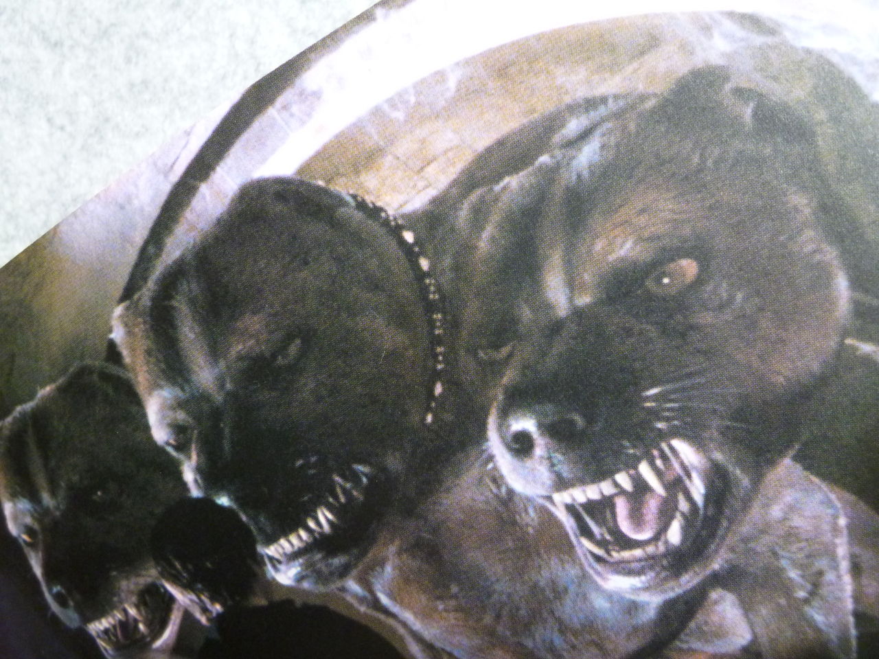 名前はフラッフィー 毛糸玉工房