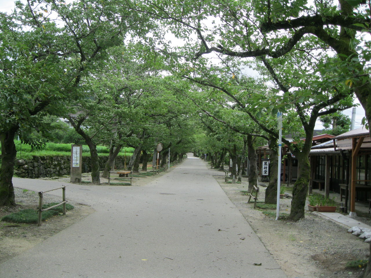 誰もいなかった観光地 秋月城址にて 朝倉市 正見行脚 誰もいなかった観光地 秋月城址にて 朝倉市 正見行脚