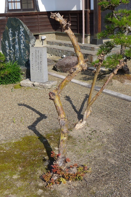 P1400214