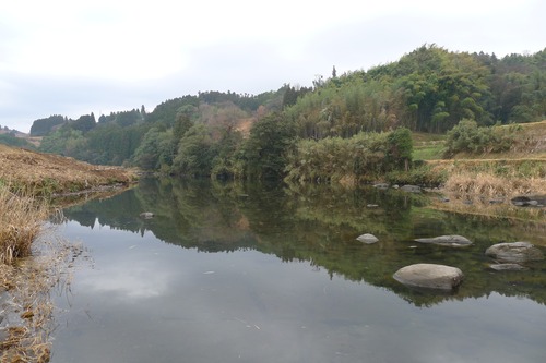 P1100177