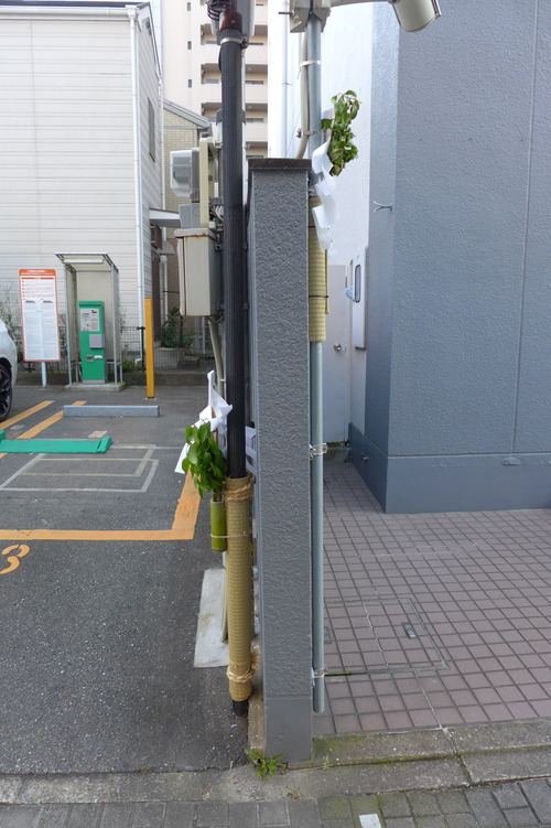 P1150783