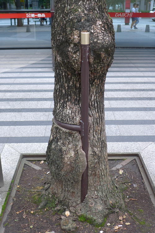 P1070593