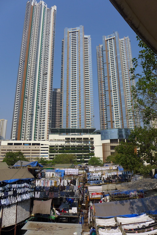 P1490460