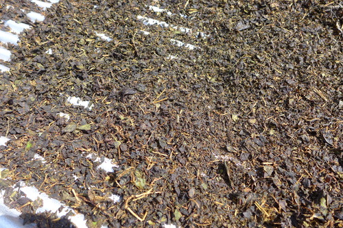 P1250001