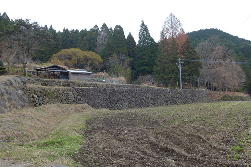 P1030209のコピー