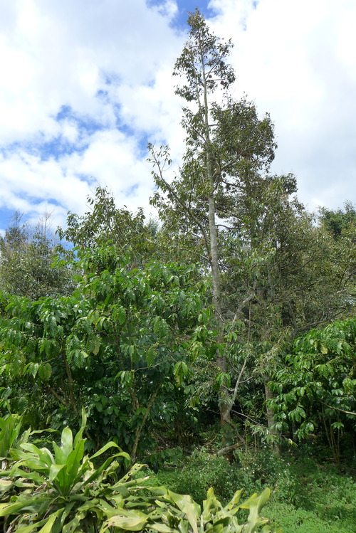 P1050634