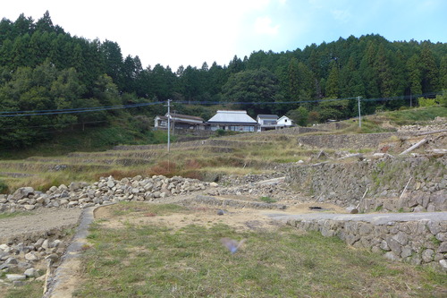 P1250829