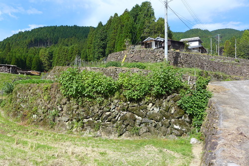 P1250788