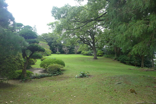 P1170506