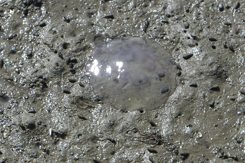 P1120456