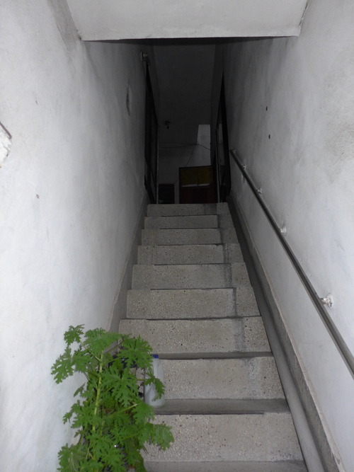 P1550339