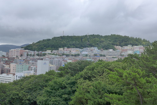 P1550485
