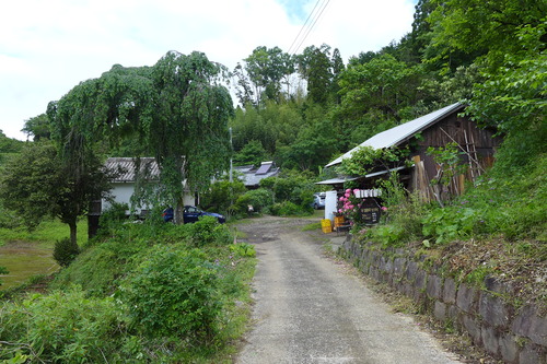 P1150635