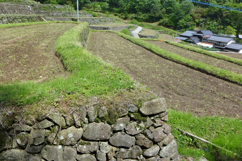 P1110238