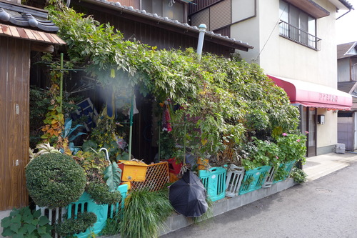 P1500309