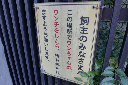 P1150781