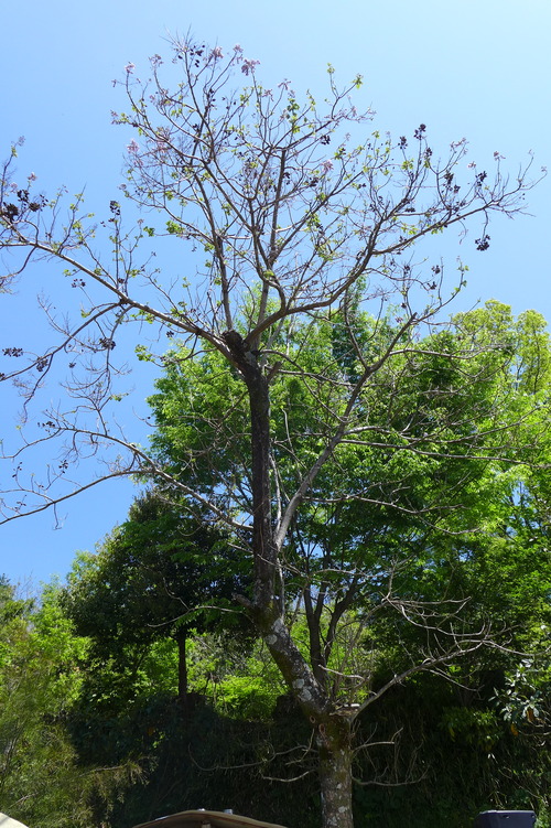 P1140019
