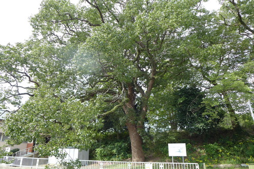 P1500265