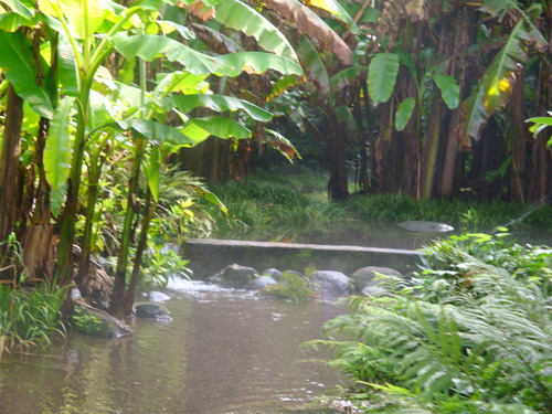 DSC09910