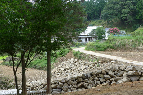 P1200259