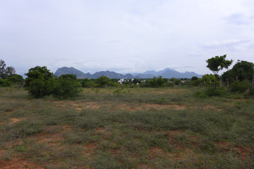 P1190955