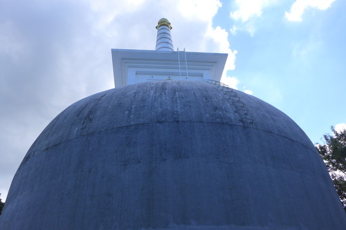 P1220503