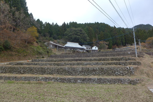 P1030232のコピー