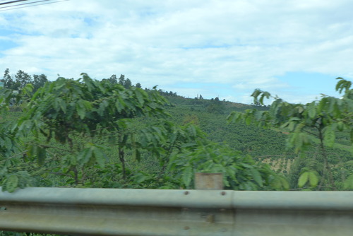 P1050684
