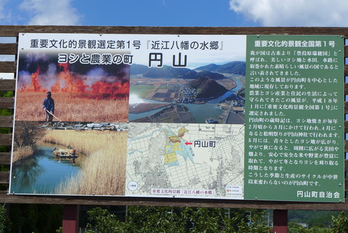 P1080968