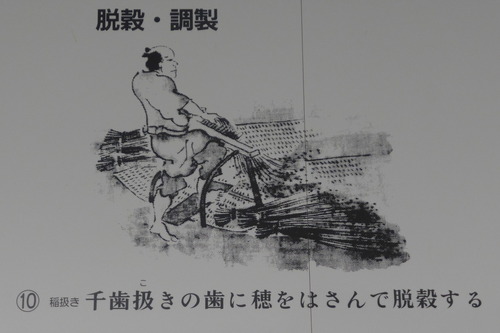 P1190479