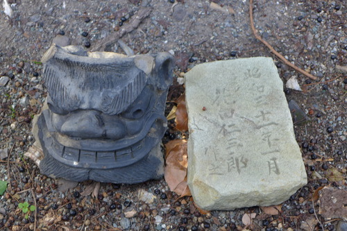P1040571