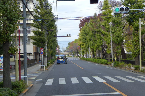 P1050204