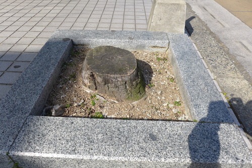 P1240097