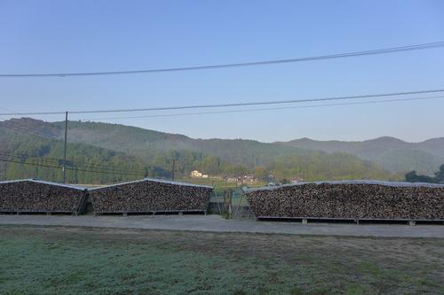 P1180677