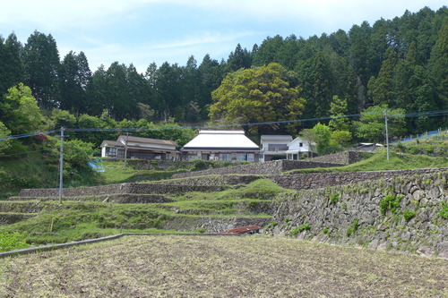 P1110225