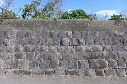 P1240292