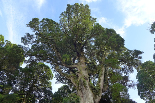 P1160146