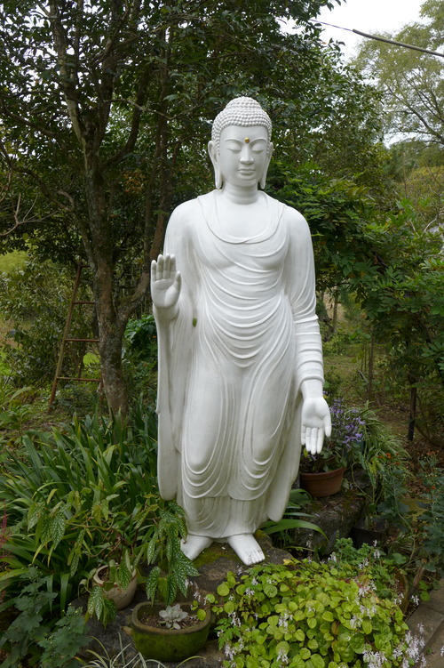P1030664